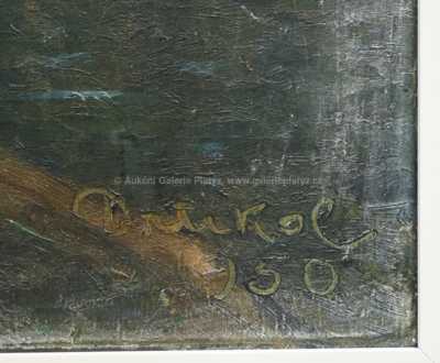  / Lesní potok / František Drtikol