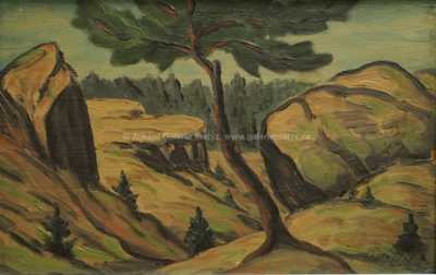  / Strom na skalách / František Drtikol