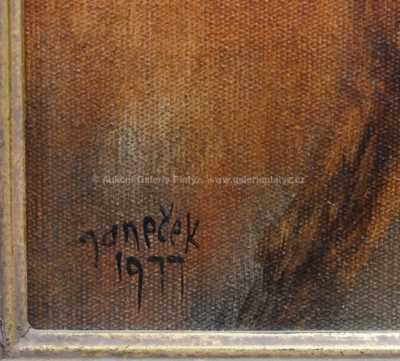  / Carmen / Ota Janeček