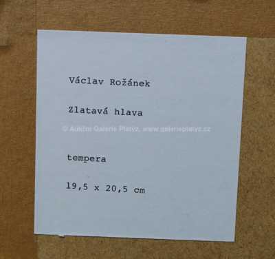  / Zlatavá hlava / Václav Rožánek