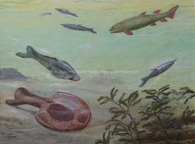  / Pravěk pod hladinou / Zdeněk Burian