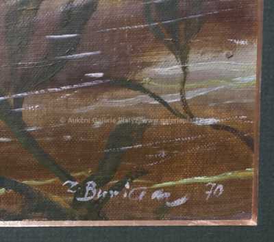  / Pravěk pod hladinou / Zdeněk Burian