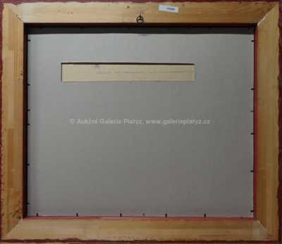  / Pravěk pod hladinou / Zdeněk Burian