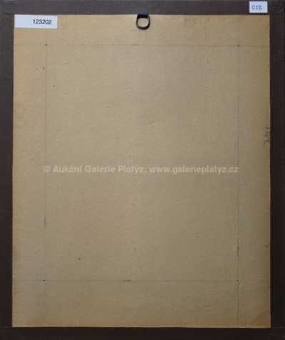  / Robinson / Adolf Born