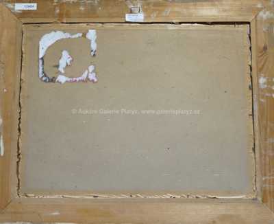  / Eliščin most v Praze / Jan Mikule