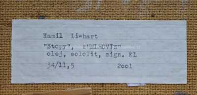  / Stopy z mlhovin / Kamil Linhart