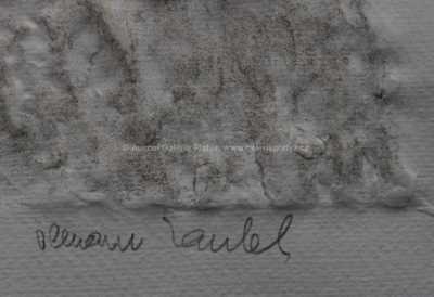  / Torzo ženy sehnuté k zemi / Olbram Zoubek