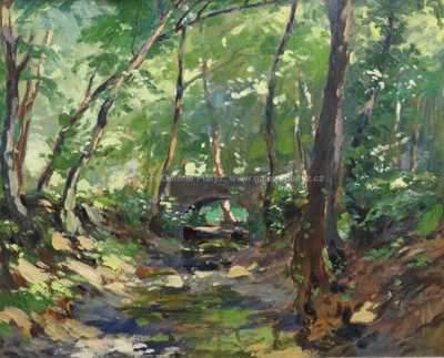  / Lesní bystřina / František Daněk - Sedláček