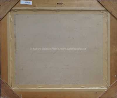  / Lesní bystřina / František Daněk - Sedláček