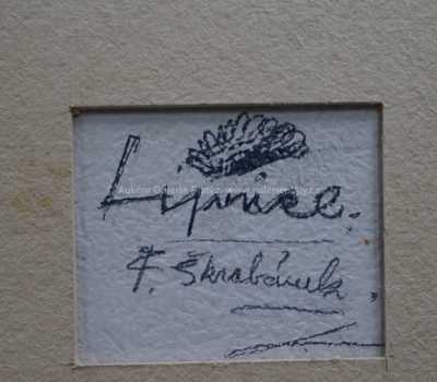  / Lipnice / František Škrabánek