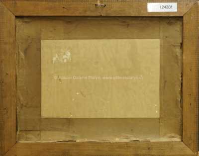  / Pohled na Kašperské Hory / Jaroslav Panuška