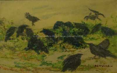  / Vrány / Jaroslav Panuška