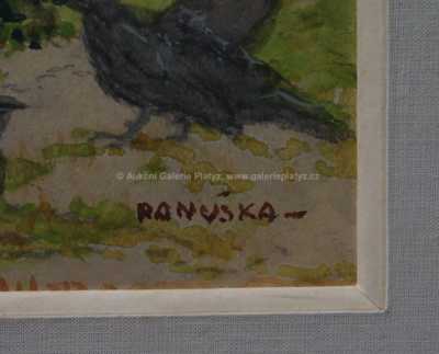  / Vrány / Jaroslav Panuška
