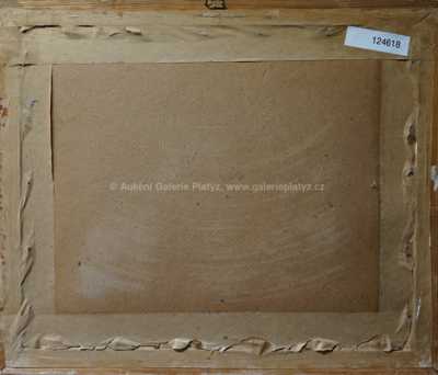  / Jarní tání / Jaroslav Panuška