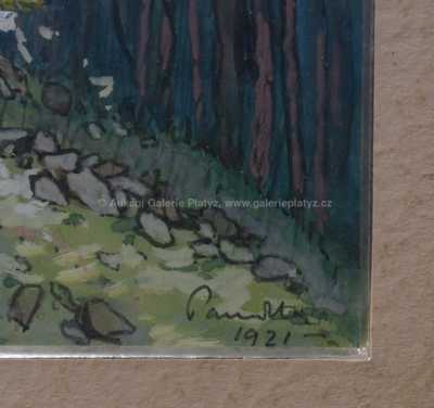  / V lese / Jaroslav Panuška