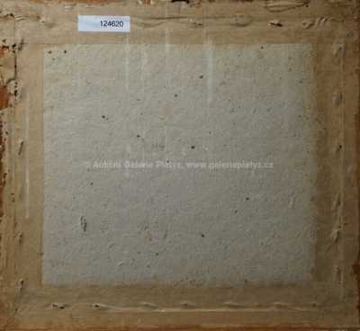  / V lese / Jaroslav Panuška