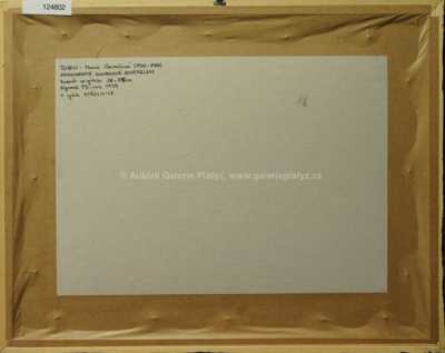  / Z cyklu Střelince / Marie Čermínová - Toyen