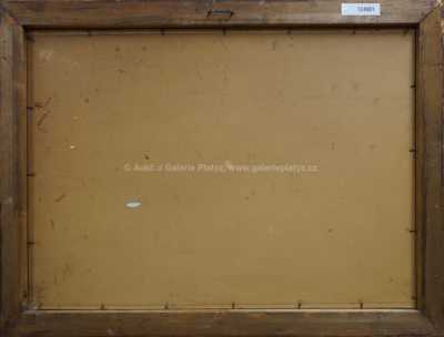  / Statek na samotě / Jan Honsa