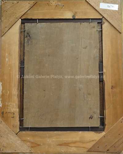  / Dívka v pavučině / František Drtikol