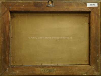  / Za svitu měsíce / Zdena Braunerová