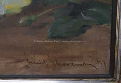  / Kytice růží / Emil Schovánek