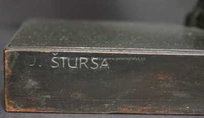  / Raněný / Jan Štursa