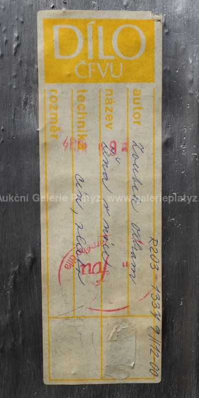  / Žena v nice a stín / Olbram Zoubek