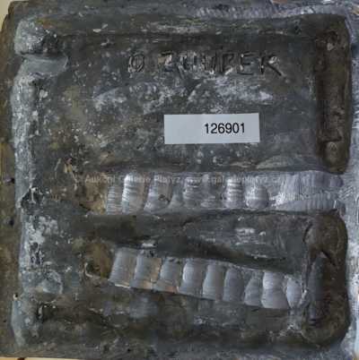  / Putifarka (Pokora) / Olbram Zoubek