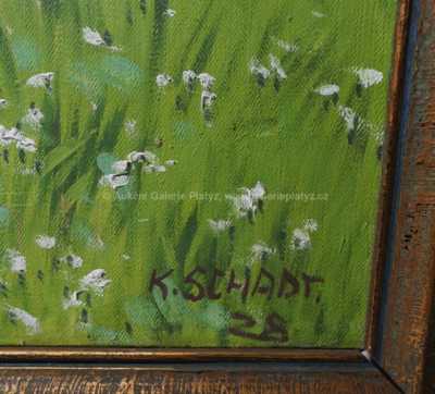  / Rozkvetlé chaloupky / Karel Schadt