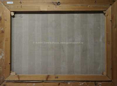  / Rozkvetlé chaloupky / Karel Schadt