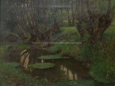  / Staré vrby / Adolf Zdrazila