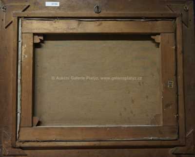  / Staré vrby / Adolf Zdrazila