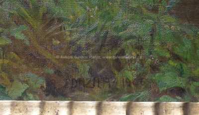  / Staré vrby / Adolf Zdrazila