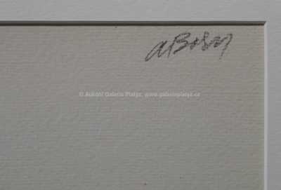  / Pohádka I. / Adolf Born