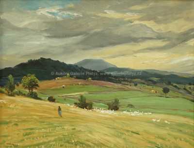  / Pohled na Boubín / Josef Krejsa