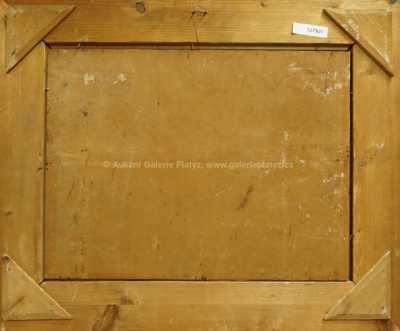  / Pohled na Boubín / Josef Krejsa