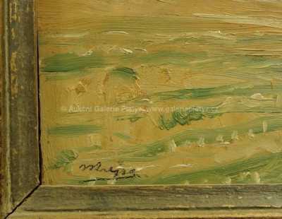  / Pohled na Boubín / Josef Krejsa