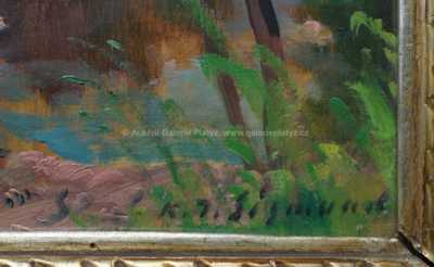  / Zarostlá tůň / Karel Jan Sigmund