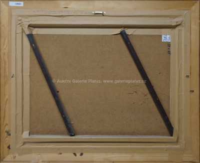  / Okna / Zdeněk Hajný