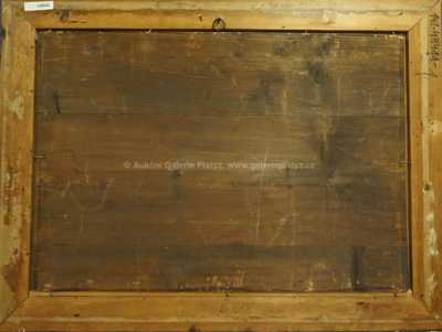  / Lov bizonů /   Autor neurčen