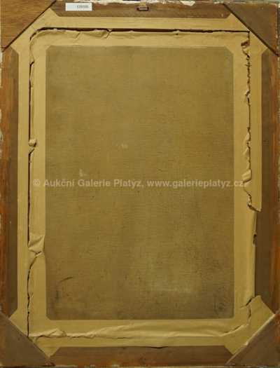  / Pohled z Petřína / Stanislav Feikl