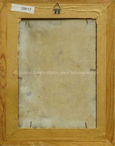  / Portrét / Jaroslav Trnka