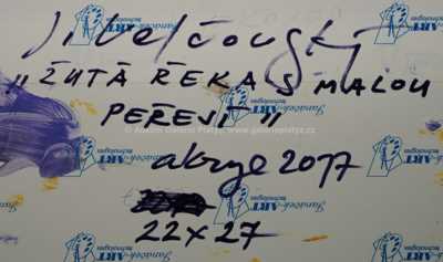  / Žlutá řeka s malou peřejí / Josef Velčovský