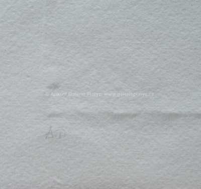  / Jaro / Olbram Zoubek