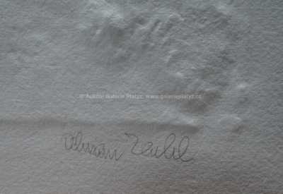  / Jaro / Olbram Zoubek