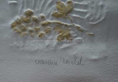  / Celý rok / Olbram Zoubek