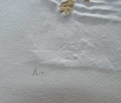  / Celý rok / Olbram Zoubek