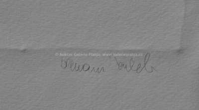  / Evo! / Olbram Zoubek