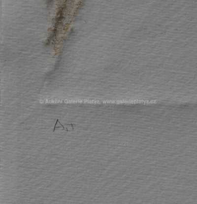  / Evo! / Olbram Zoubek