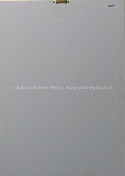  / Evo! / Olbram Zoubek